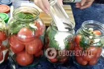 Квашені помідори з коріандром - Крок 5 Квашені помідори з коріандром - Крок 5