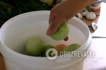Зеленые квашеные помидоры - Шаг 4 Зеленые квашеные помидоры - Шаг 4