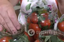 Квашені помідори з листям кукурудзи - Крок 5 Квашені помідори з листям кукурудзи - Крок 5