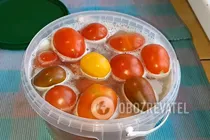Квашеные помидоры с луком и горчицей - Шаг 6 Квашеные помидоры с луком и горчицей - Шаг 6