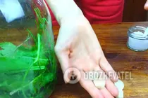 Квашеные помидоры с зеленью - Шаг 5 Квашеные помидоры с зеленью - Шаг 5