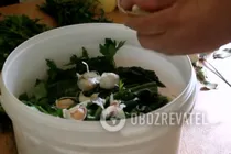 Зеленые квашеные помидоры - Шаг 5 Зеленые квашеные помидоры - Шаг 5