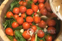 Бочковые квашеные помидоры - Шаг 6 Бочковые квашеные помидоры - Шаг 6