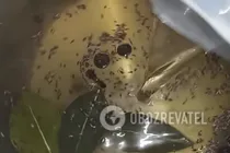 Сладкие маринованные помидоры - Шаг 7 Сладкие маринованные помидоры - Шаг 7