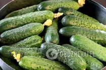 Маринованные огурцы классические - Шаг 1 Маринованные огурцы классические - Шаг 1