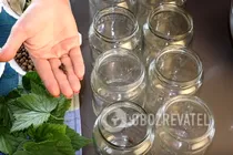 Маринованные огурцы классические - Шаг 2 Маринованные огурцы классические - Шаг 2