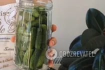 Мариновані огірки з гвоздикою та коріандром - Крок 6 Мариновані огірки з гвоздикою та коріандром - Крок 6