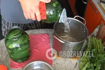 Мариновані огірки без оцту - Крок 7 Мариновані огірки без оцту - Крок 7