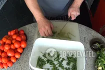 Малосольные помидоры с медом - Шаг 3 Малосольные помидоры с медом - Шаг 3