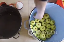 Моченые яблоки с суслом - Шаг 2 Моченые яблоки с суслом - Шаг 2