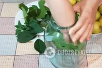 Моченые яблоки с медом и мелиссой - Шаг 1 Моченые яблоки с медом и мелиссой - Шаг 1