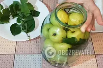 Моченые яблоки с медом и мелиссой - Шаг 2 Моченые яблоки с медом и мелиссой - Шаг 2