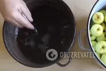 Моченые яблоки с суслом - Шаг 4 Моченые яблоки с суслом - Шаг 4