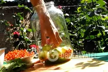 Моченые яблоки с красной рябиной - Шаг 1 Моченые яблоки с красной рябиной - Шаг 1
