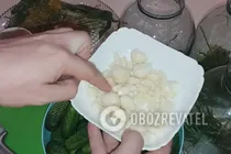 Квашені огірки з хріном - Крок 2 Квашені огірки з хріном - Крок 2