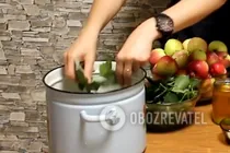 Мочені яблука з листям малини - Крок 1 Мочені яблука з листям малини - Крок 1
