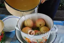 Моченые яблоки с горчицей - Шаг 5 Моченые яблоки с горчицей - Шаг 5