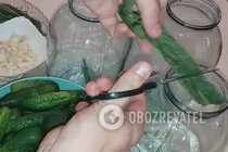 Квашені огірки з хріном - Крок 1 Квашені огірки з хріном - Крок 1