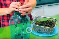 Компот из черемухи - Шаг 3 Компот из черемухи - Шаг 3