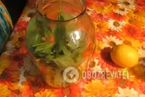 Компот із агрусу з м'ятою - Крок 3 Компот із агрусу з м'ятою - Крок 3