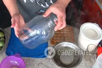 Компот из фейхоа - Шаг 1 Компот из фейхоа - Шаг 1