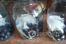 Сливовый компот с мелисой - Шаг 2 Сливовый компот с мелисой - Шаг 2