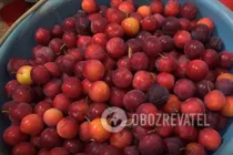 Компот из красной алычи - Шаг 1 Компот из красной алычи - Шаг 1