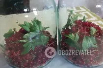 Компот з червоної смородини з м'ятою - Крок 4 Компот з червоної смородини з м'ятою - Крок 4