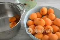 Абрикосовый сок без соковыжималки - Шаг 1 Абрикосовый сок без соковыжималки - Шаг 1