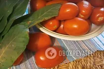 Квашеные помидоры по ГОСТу - Шаг 1 Квашеные помидоры по ГОСТу - Шаг 1