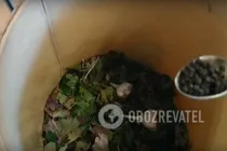 Зелені помідори з коріандром - Крок 4 Зелені помідори з коріандром - Крок 4