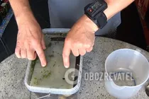 Квашені баклажани з зеленню - Крок 7 Квашені баклажани з зеленню - Крок 7