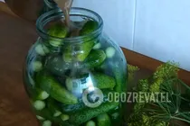 Гострі квашені огірки з часником - Крок 5 Гострі квашені огірки з часником - Крок 5