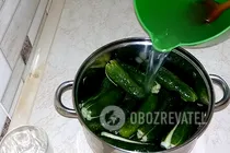 Квашеные огурцы за сутки - Шаг 7 Квашеные огурцы за сутки - Шаг 7