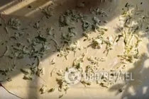 Катлама на воді з цибулею та зеленню - Крок 7 Катлама на воді з цибулею та зеленню - Крок 7