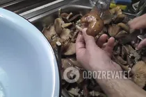 Опеньки з часником і гвоздикою - Крок 1 Опеньки з часником і гвоздикою - Крок 1