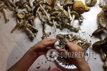 Лісові гриби на зиму - Крок 1 Лісові гриби на зиму - Крок 1