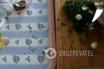Моментальні кабачки з оцтом - Крок 2 Моментальні кабачки з оцтом - Крок 2