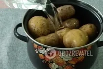 Класичні картопляні галушки - Крок 1 Класичні картопляні галушки - Крок 1
