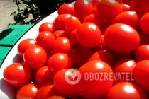 Квашеные помидоры "Закусочные" - Шаг 1 Квашеные помидоры "Закусочные" - Шаг 1