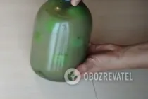 Зелені помідори з медом і гірчицею - Крок 7 Зелені помідори з медом і гірчицею - Крок 7