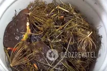 Квашені баклажани в банках - Крок 8 Квашені баклажани в банках - Крок 8