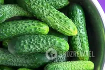 Гострі мариновані огірки - Крок 2 Гострі мариновані огірки - Крок 2