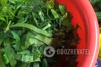 Гострі мариновані огірки - Крок 1 Гострі мариновані огірки - Крок 1