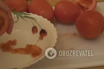 Каннеллоні з куркою - Крок 1 Каннеллоні з куркою - Крок 1
