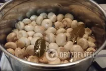 Мариновані гриби нашвидкуруч - Крок 5 Мариновані гриби нашвидкуруч - Крок 5
