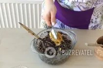 Пшеничная кутья с орехами - Шаг 14 Пшеничная кутья с орехами - Шаг 14