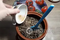 Сімейна кутя на Святвечір - Крок 12 Сімейна кутя на Святвечір - Крок 12