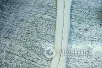 Ушки за 30 минут - Шаг 4 Ушки за 30 минут - Шаг 4