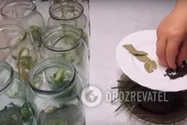 Мариновані кабачки з зеленню і перцем - Крок 3 Мариновані кабачки з зеленню і перцем - Крок 3